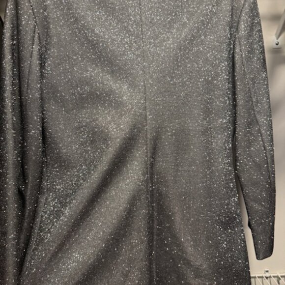 SLA the Label Silver/Pewter Sparkle Pants/Blazer Set - Picture 6 of 9